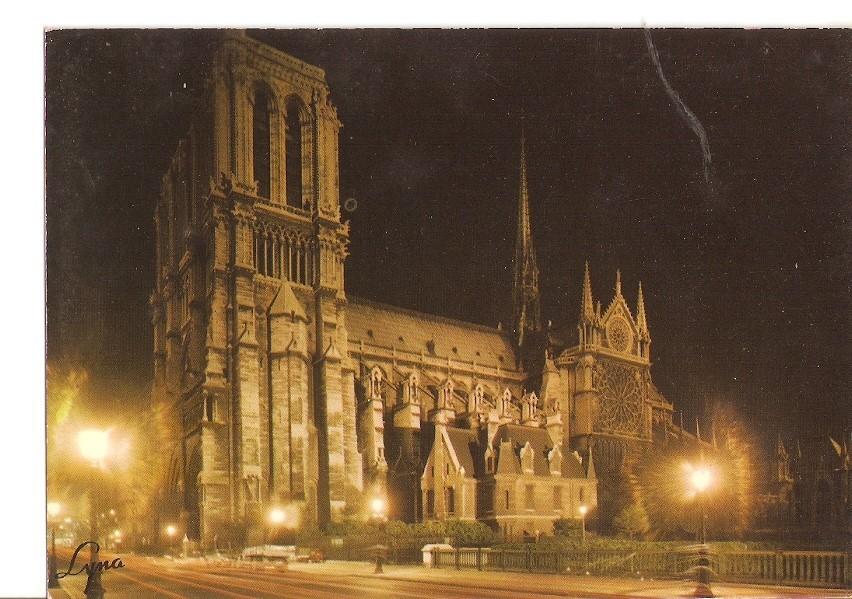 Postal 024139 : la nuit Paris La Cathedrale Notre-Dame