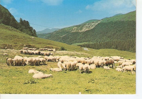 Postal 033016 : Dans la paix des monts dAuvergne