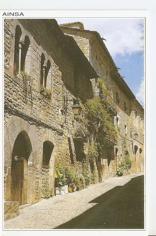 Postal 043288 : Ainsa (Huesca). Calle Mayor