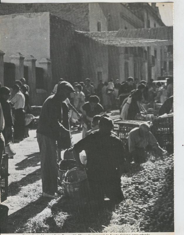 Cataluña y sus comarcas, fotografia numerada 13