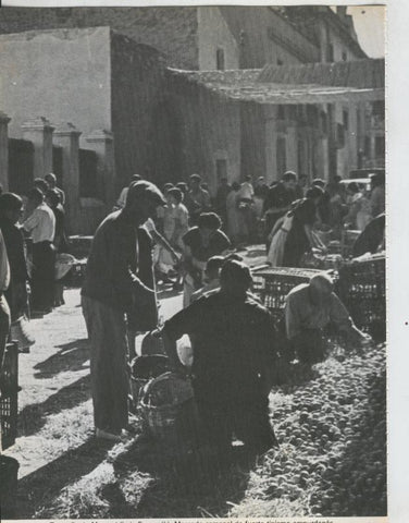 Cataluña y sus comarcas, fotografia numerada 13
