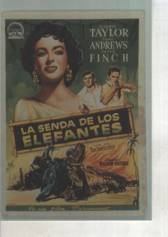 Foto cine 444: La senda de los elefantes (Elizabeth Taylor)
