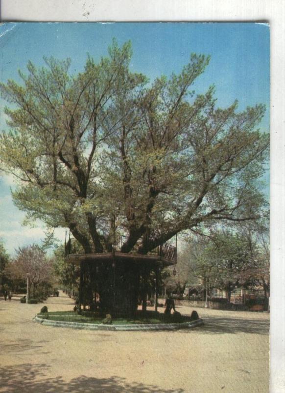 Postal 003597:  Soria: alameda de Cervantes, Kiosco de la musica