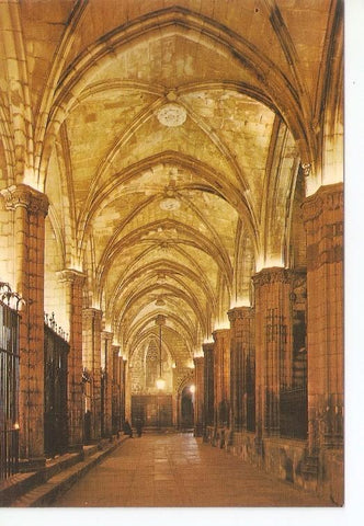 Postal 020018 : Catedral Claustro de noche. Barcelona