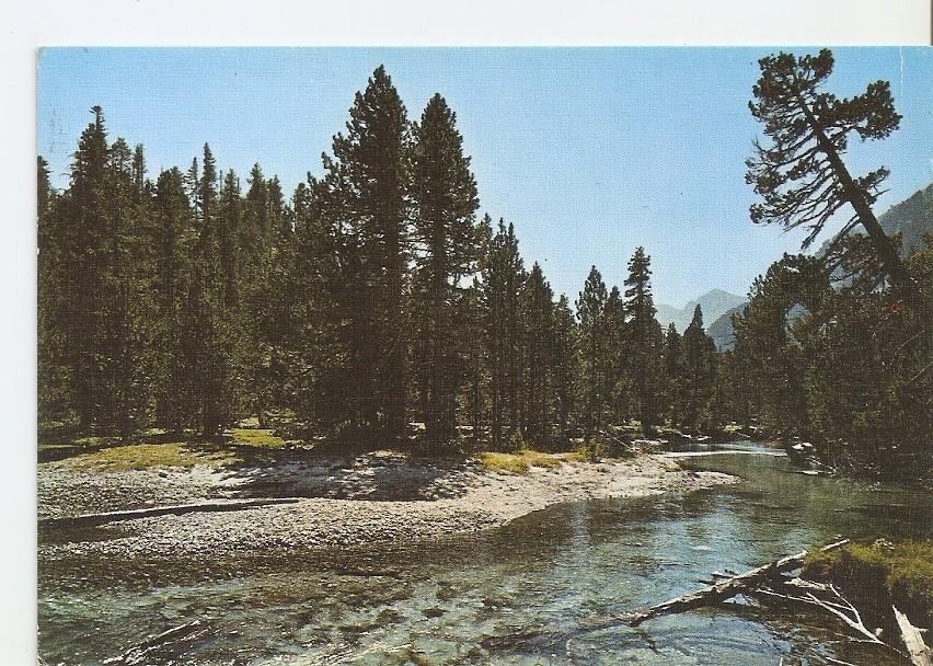 Postal 031729 : Parque Nacional dAigues Tortes. Pirineo Catalan-Valle de Bohi