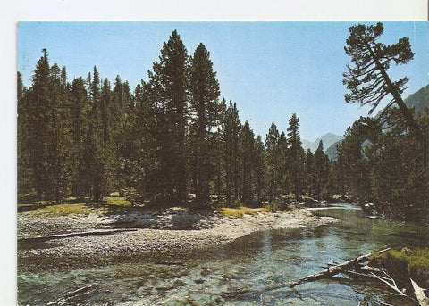 Postal 031729 : Parque Nacional dAigues Tortes. Pirineo Catalan-Valle de Bohi
