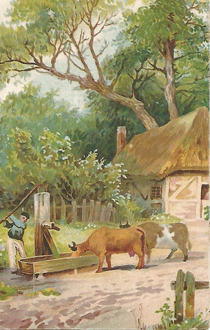 Postal 52520:Paisaje
