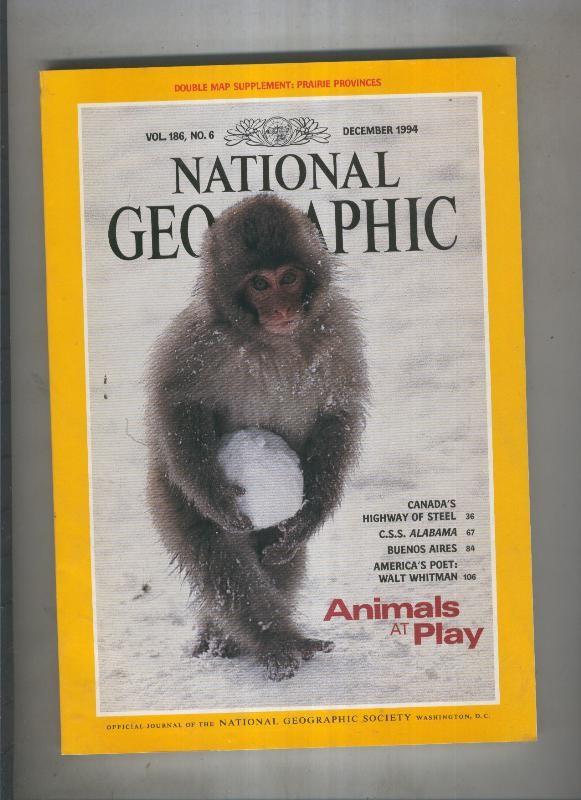 National geographic 1994 december : Animals at play 