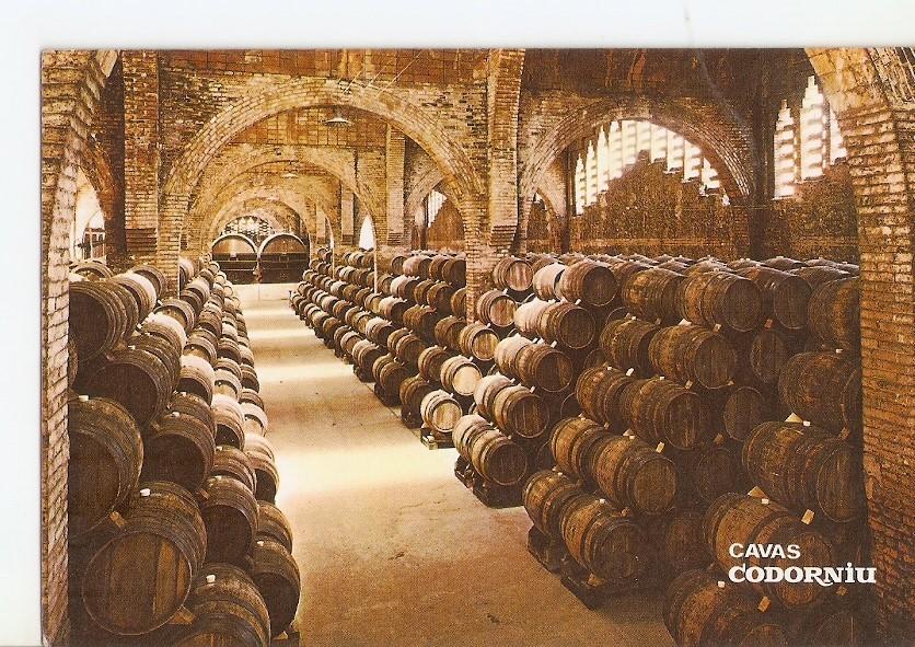 Postal 024893 : Una bodega. Monumento Nacional. Cavas Codorniu