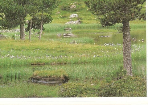 Postal 032196 : El Parque Nacional de Aiguestortes y Sant Maurici en primavera 