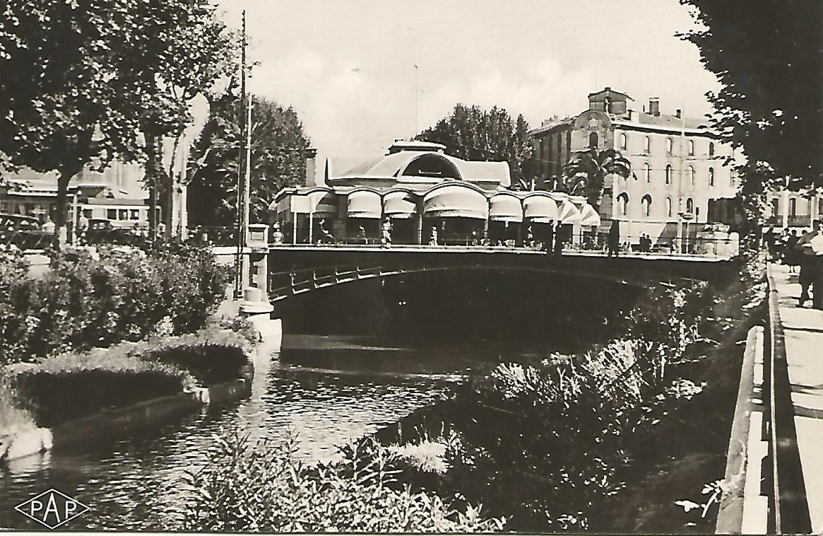 Postal 51181: PERPIGNAN - Palmarium