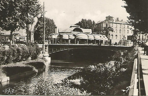 Postal 51181: PERPIGNAN - Palmarium