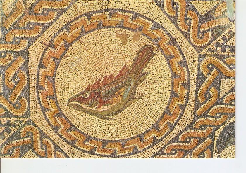 Postal 025913 : Mosaico de los Peces. Casa del Anfiteatro. Merida (Badajoz)