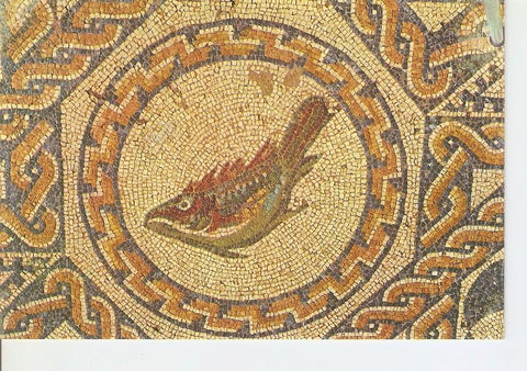Postal 025913 : Mosaico de los Peces. Casa del Anfiteatro. Merida (Badajoz)