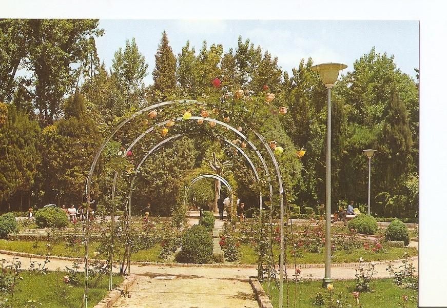 Postal 024418 : Parque Municipal. Rosaleda. Huesca