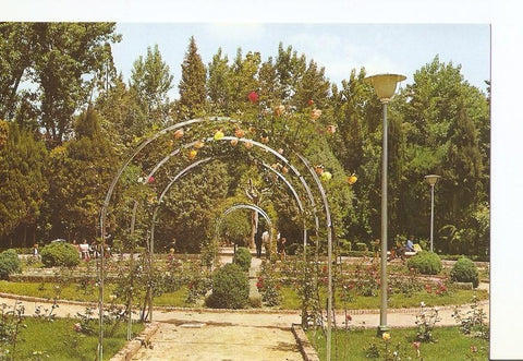 Postal 024418 : Parque Municipal. Rosaleda. Huesca