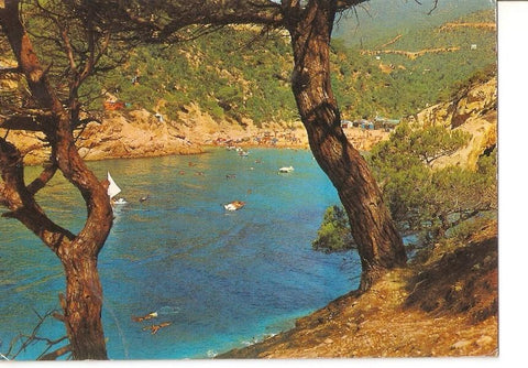 Postal 024621 : Cala Pola. Tossa de Mar. Costa Brava