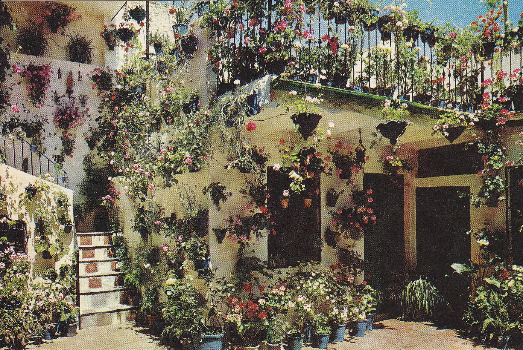Postal 60728: Patio cordobes (Cordoba)