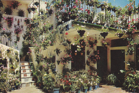 Postal 60728: Patio cordobes (Cordoba)