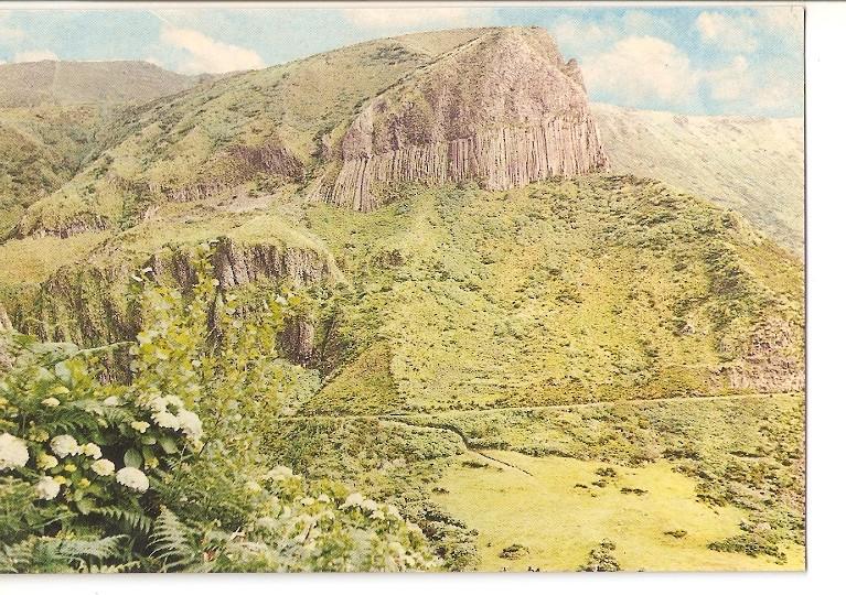 Postal 050333 : Rochas Dos Bordões. Flores - Açores