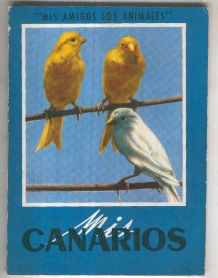 Mis amigos los animales: Mis Canarios