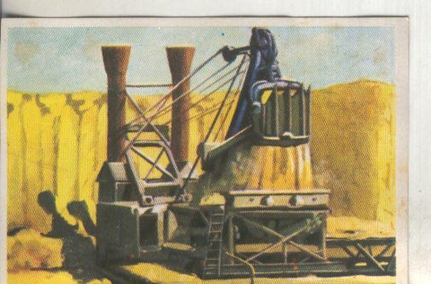 Cromos: Historia Natural numero 066