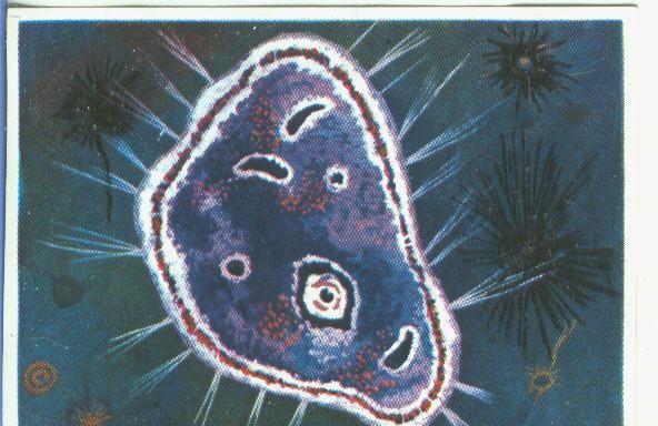 Cromos: Historia Natural numero 338