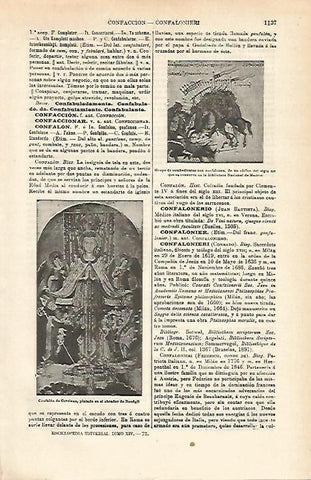 LAMINA ESPASA 14492: Confalon