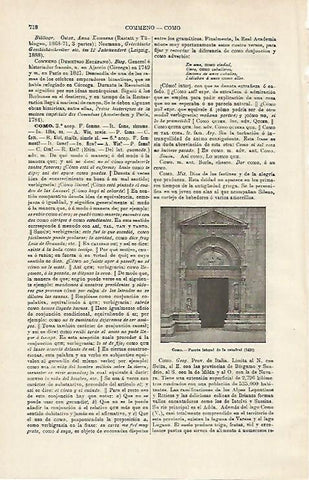 LAMINA ESPASA 14537: Catedral de Como Italia