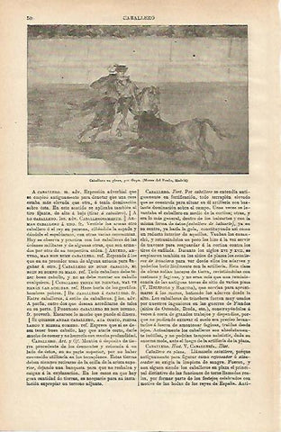 LAMINA ESPASA 14571: Caballero en plaza por Goya