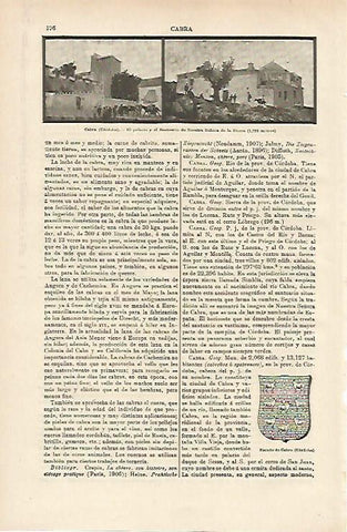 LAMINA ESPASA 14615: Vistas y escudo de Cabra Cordoba