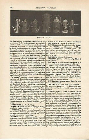 LAMINA ESPASA 14661: Cafeteras