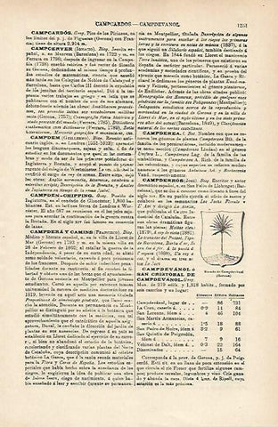 LAMINA ESPASA 14799: Escudo de Campdevanol Girona