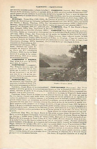 LAMINA ESPASA 14802: Campfer y Silvaplana Suiza
