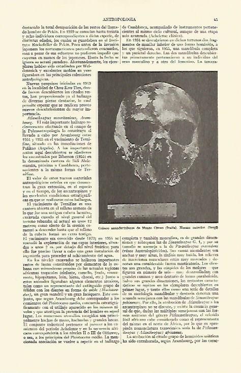 LAMINA ESPASA 14828: Craneo neandertalense de Monte Circeo Italia