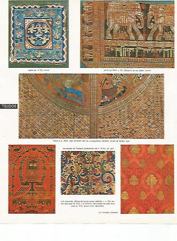 LAMINA LAROUSSE 70004: Tejidos