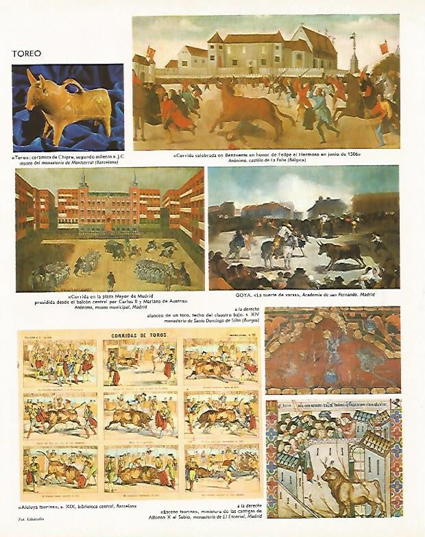 LAMINA LAROUSSE 70015: Toreo
