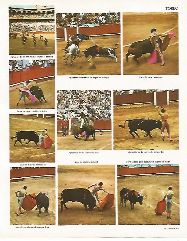LAMINA LAROUSSE 70016: Pases de toreo