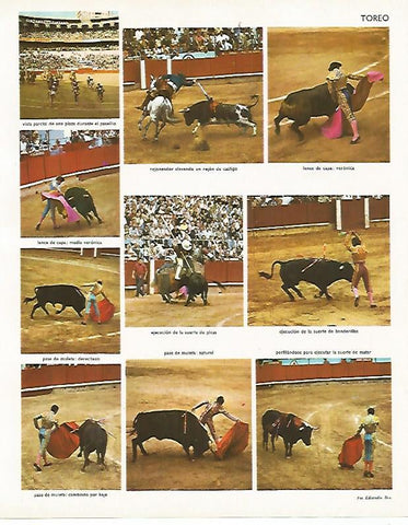 LAMINA LAROUSSE 70016: Pases de toreo