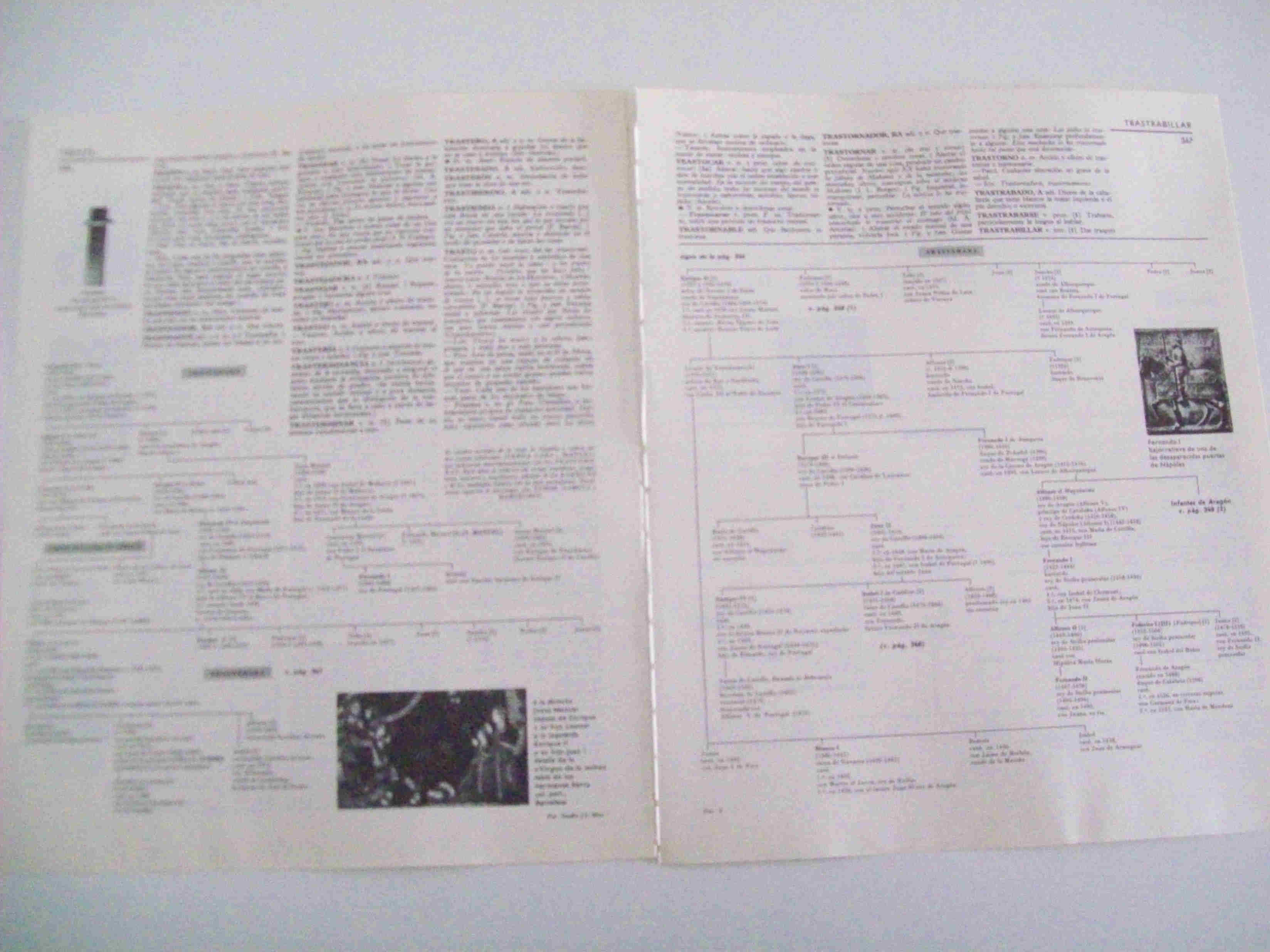 LAMINA LAROUSSE 70017: Arbol genealogico de los Trastamara