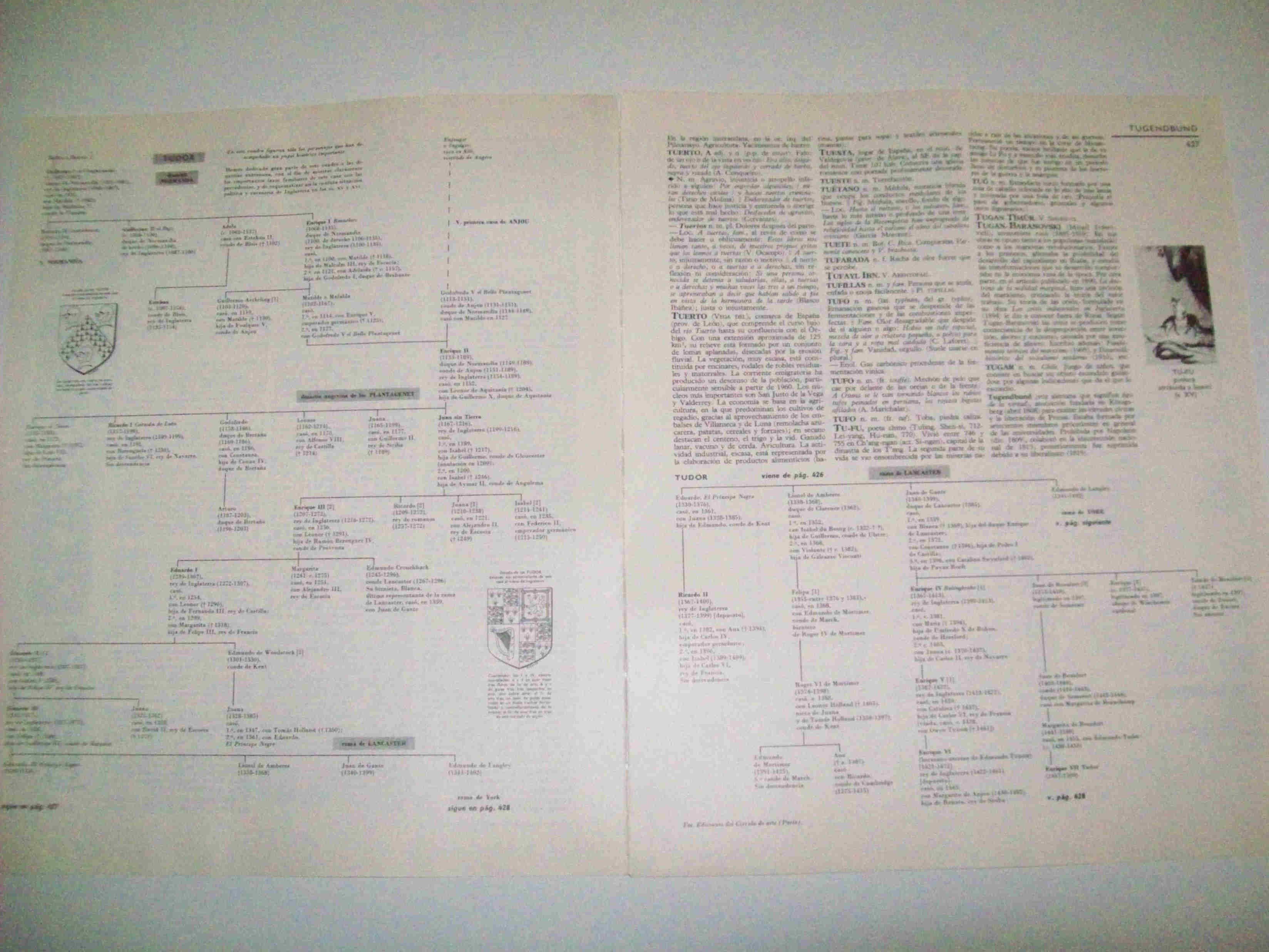 LAMINA LAROUSSE 70018: Arbol genealogico de los Tudor