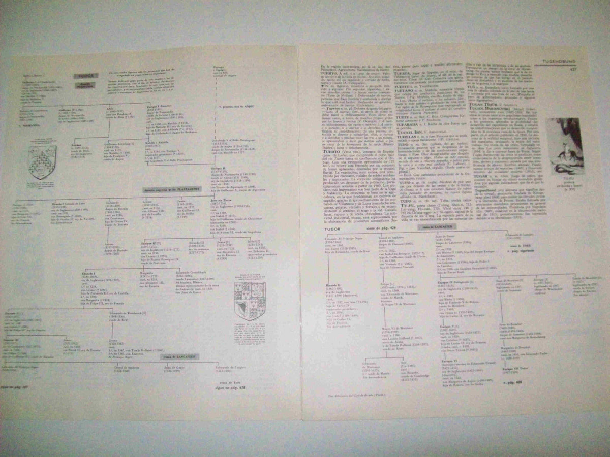 LAMINA LAROUSSE 70018: Arbol genealogico de los Tudor