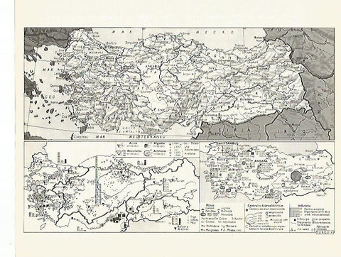 LAMINA LAROUSSE 70020: Mapas de Turquia