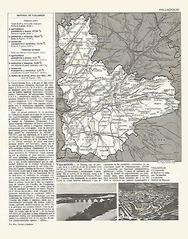 LAMINA LAROUSSE 70042: Mapa de la provincia de Valladolid