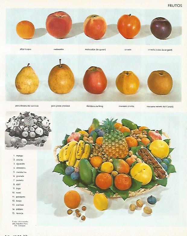 LAMINA LAROUSSE 70090: Frutos