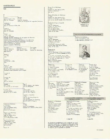 LAMINA LAROUSSE 70113: Arbol genealogico de los Hasburgo