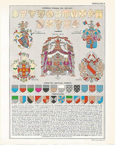 LAMINA LAROUSSE 70118: Heraldica