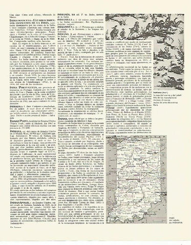 LAMINA LAROUSSE 70155: Mapa del estado de Indiana Estados Unidos