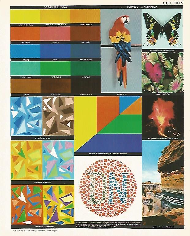 LAMINA LAROUSSE 70171: Colores
