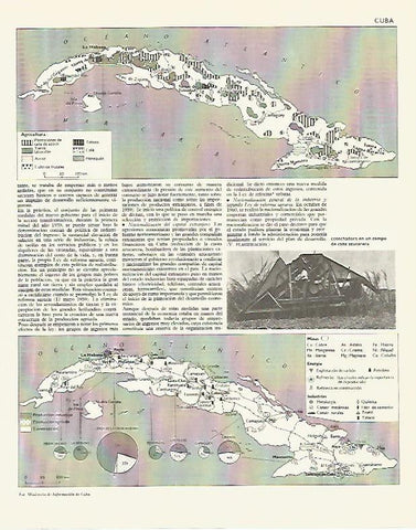 LAMINA LAROUSSE 70187:  Mapa de la agricultura de Cuba